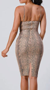 Zoe Snake Print Bodycon Mid Dress