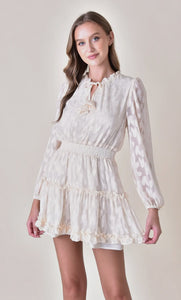 Lauren long sleeve ruffle mini dress