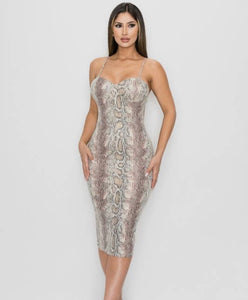 Zoe Snake Print Bodycon Mid Dress