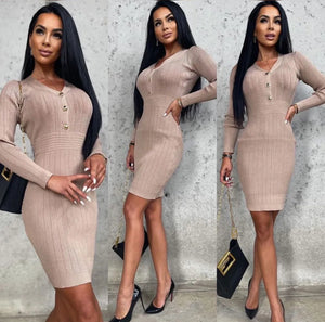 Ginevra Stretch Dress