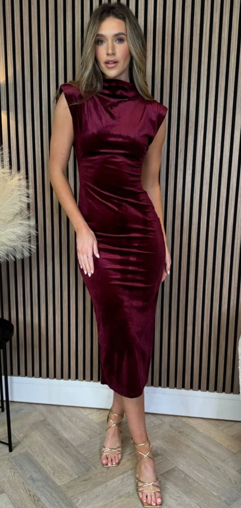 Gian Velvet Dress