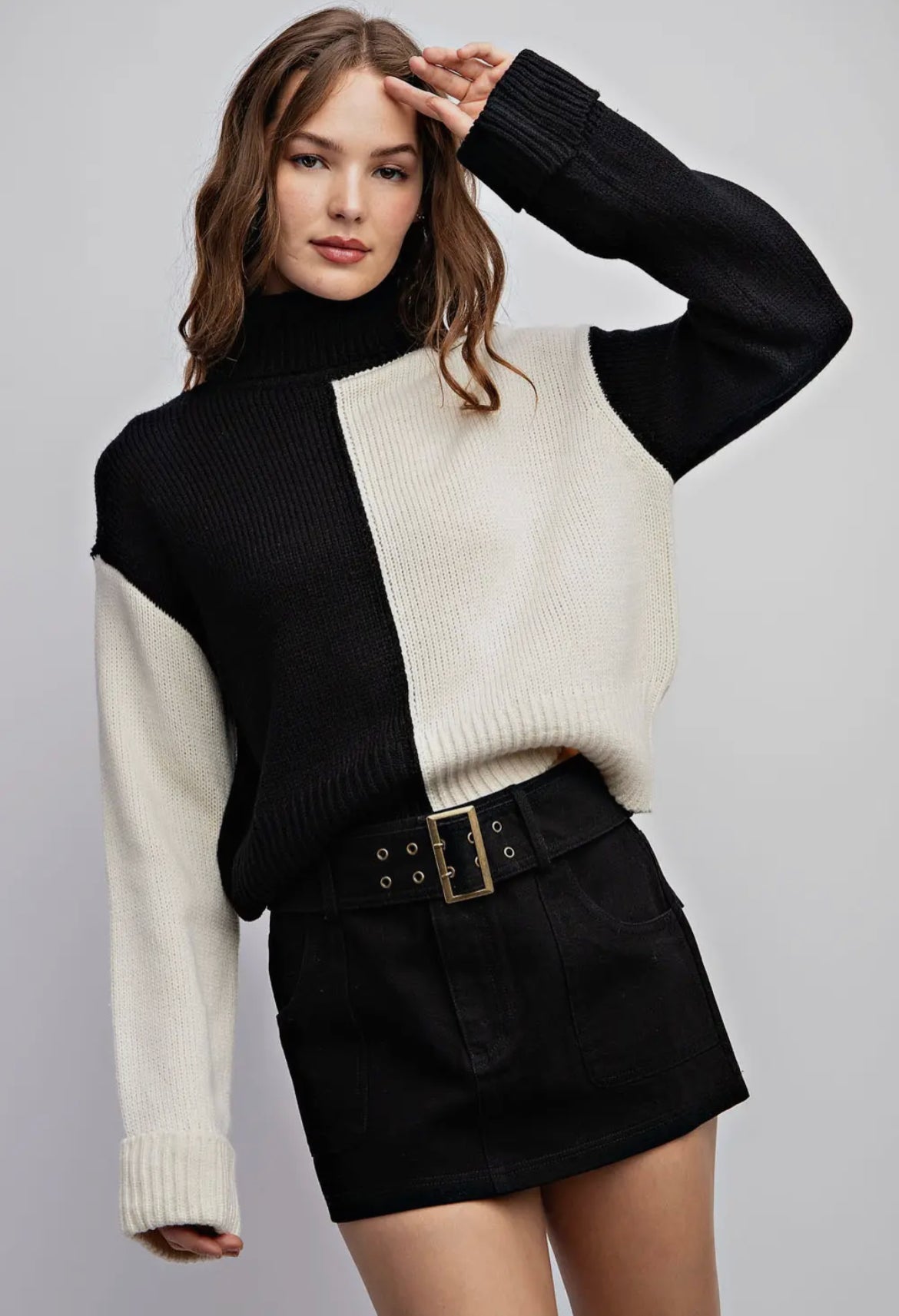 Harper Color Block Turtle Neck Sweater