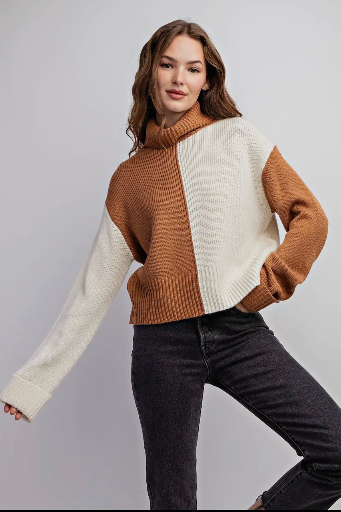 Harper Color Block Turtle Neck Sweater