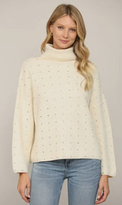 Robin Embellished Rhinestone Turtle Neck