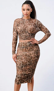 Alondra Animal Print Long Sleeve Set