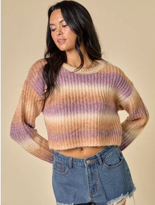 Maddie Multi Color Sweater Crop Top