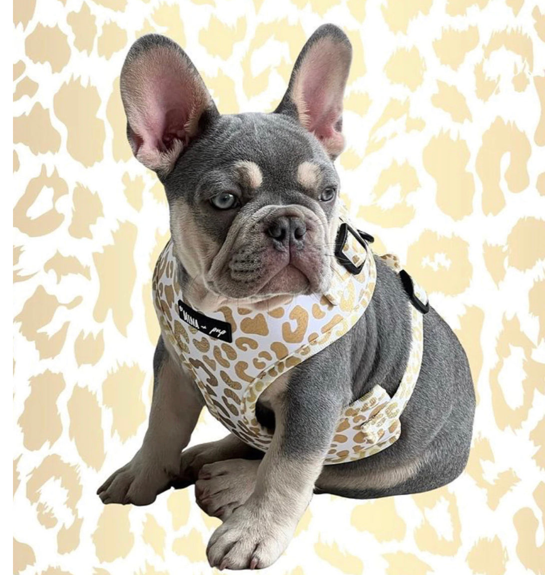 You're So Golden" Adjustable Dog or Cat Harness