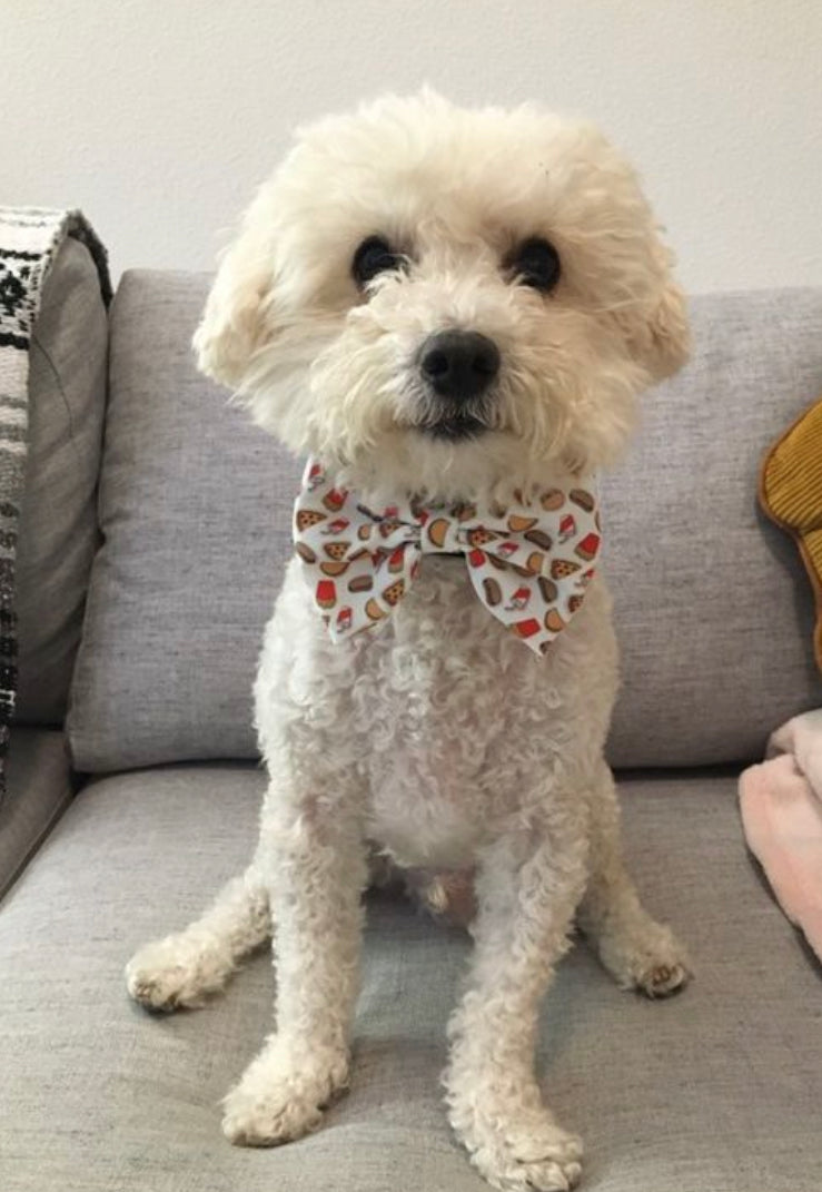 Drive-In Diner Bow Tie for Dogs and Cats