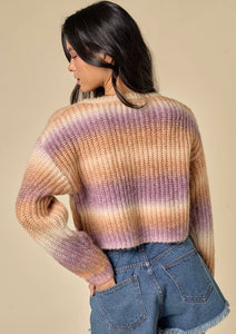 Maddie Multi Color Sweater Crop Top